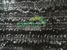 人参红豆视频app